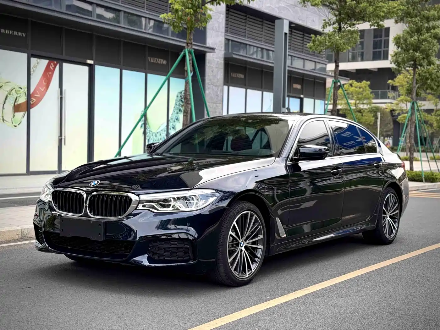 BMW 5 Series 2020 530Li Exclusive M Sport Package