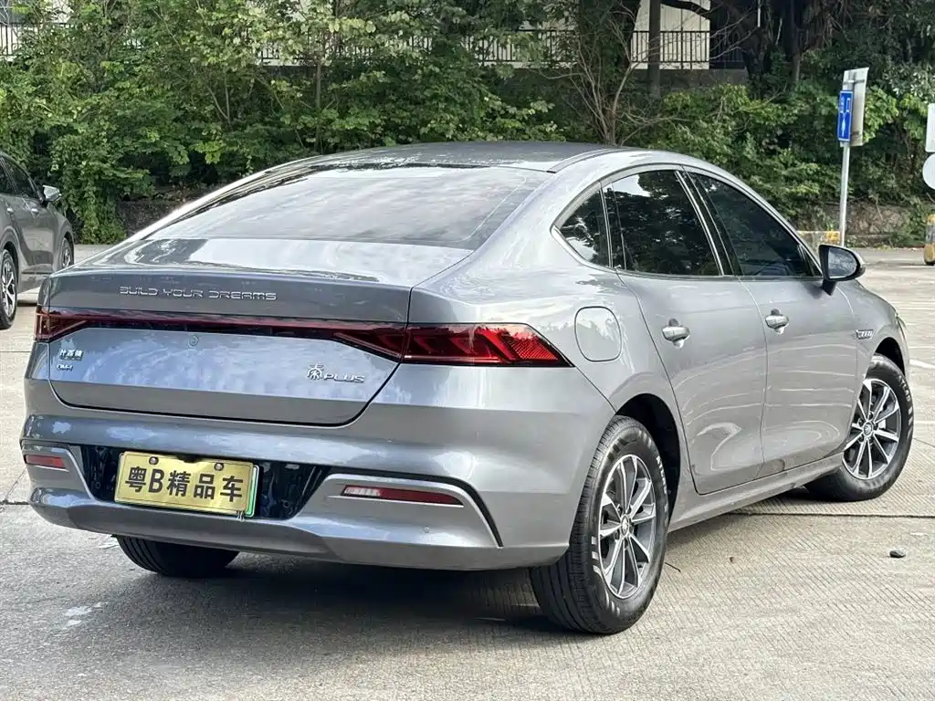 BYD Qin PLUS 2024 Glory Edition DM-i 55KM Leading фото 4