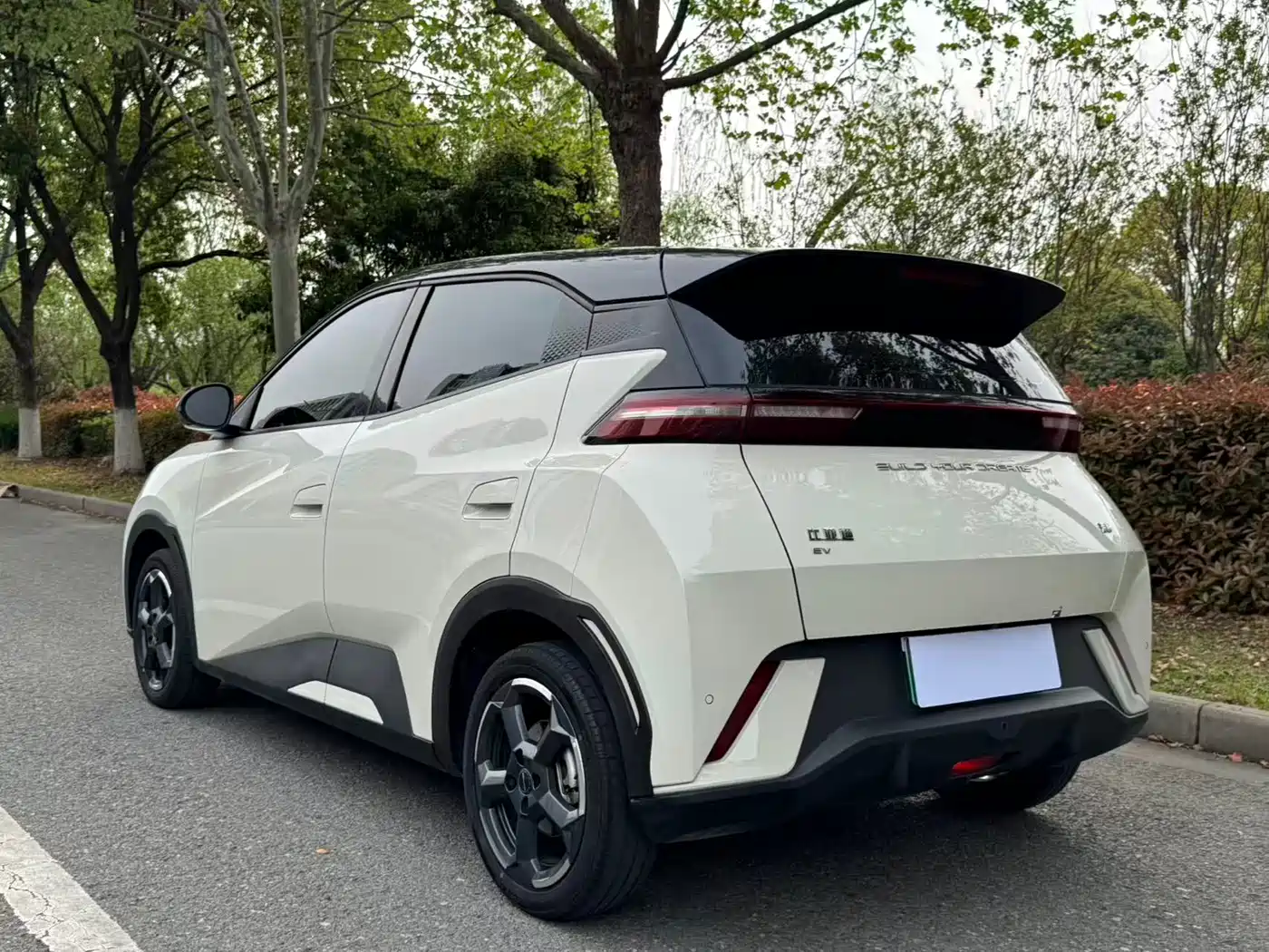 BYD Seagull 2024 Glory Edition 305km Freedom Edition фото 4
