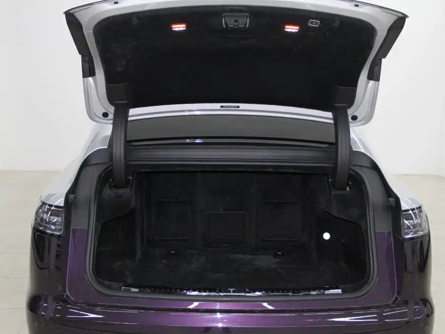 Zunjie S800 2026 2025 Model Extended Range Starlight Executive Edition 4-seater