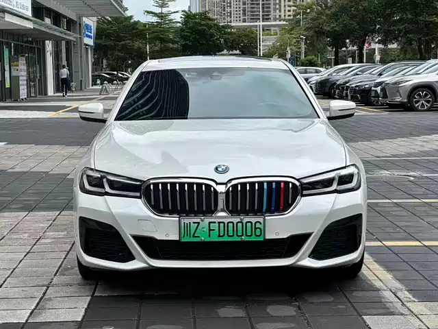 BMW 5 Series New Energy 2021
