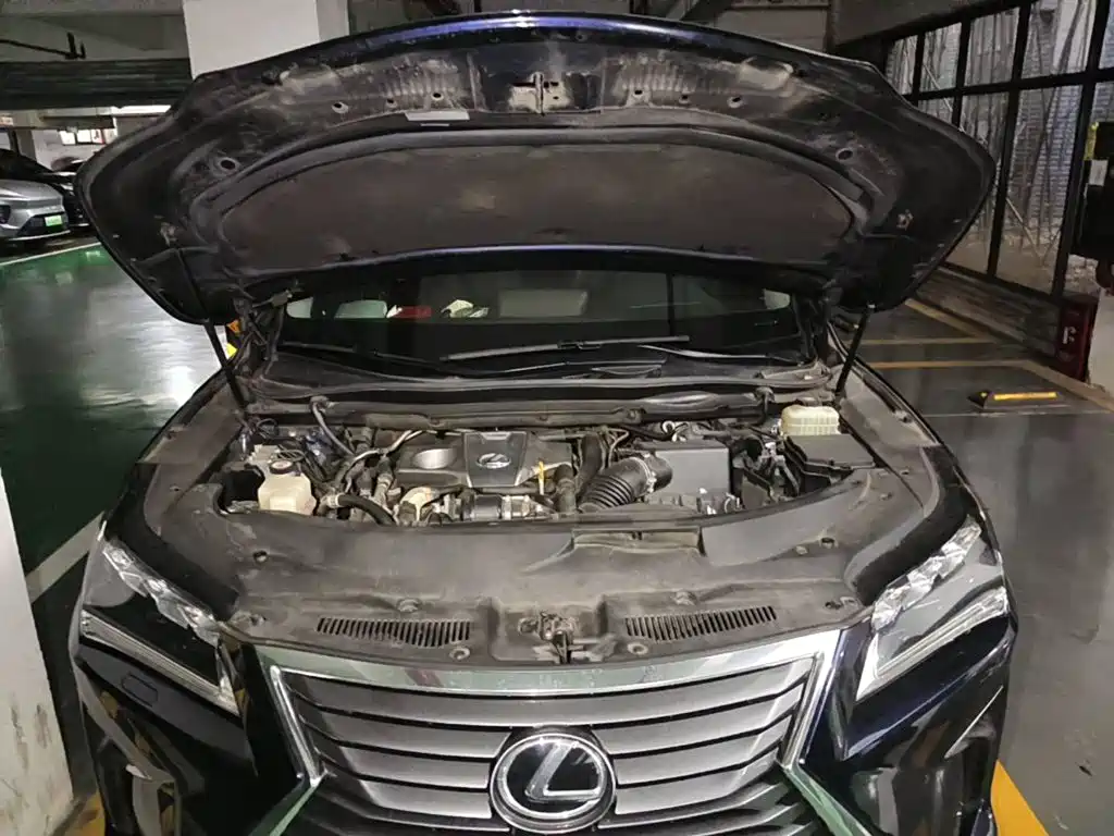 Lexus RX 2017 2016 300 4WD Elegance Edition China VI