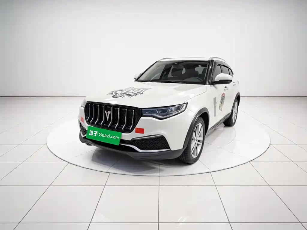 2019 Zotye T700