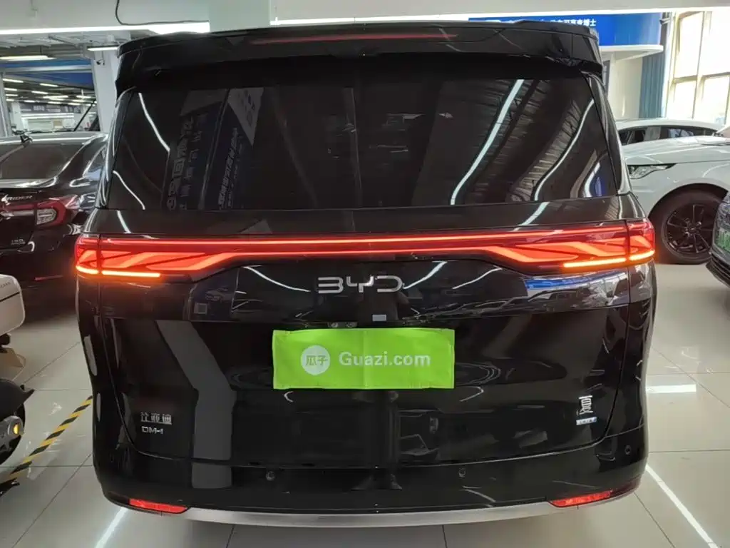 Фото 6 - BYD Xia