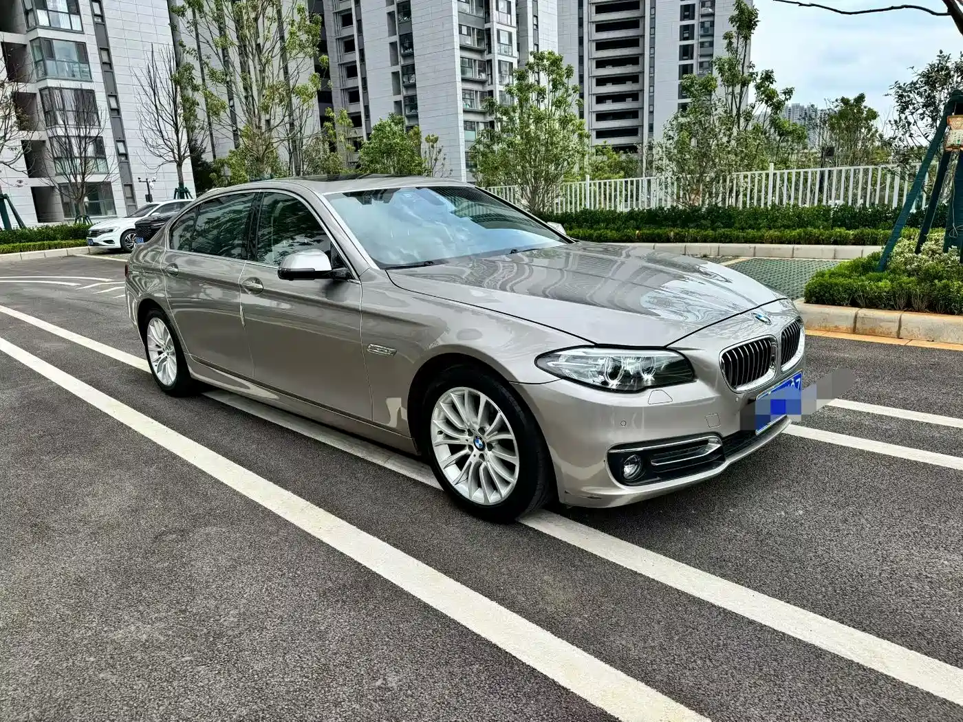 BMW 5 Series 2014 525Li Luxury Design Package фото 3