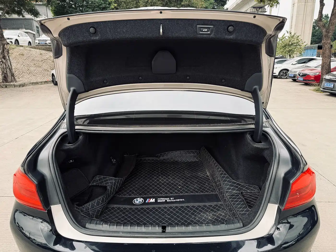 BMW 5 Series 2018 Facelift 530Li Leading Luxury Package фото 8