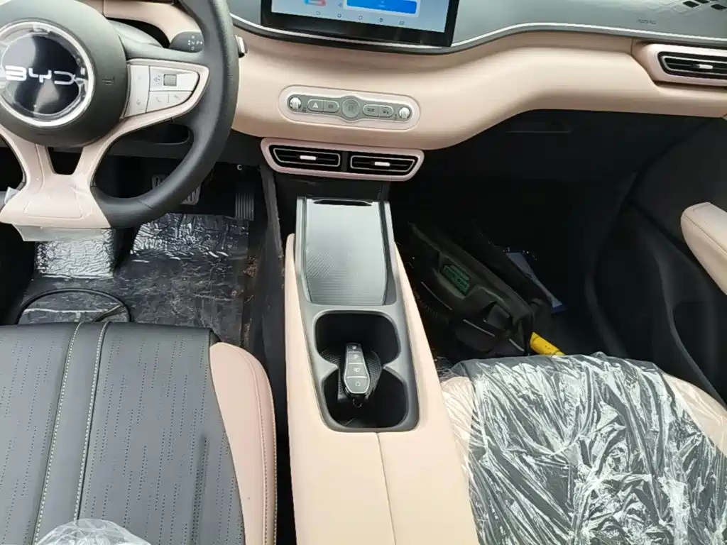 BYD Seagull 2026 2025 Smart Drive Edition 305km Vitality Version