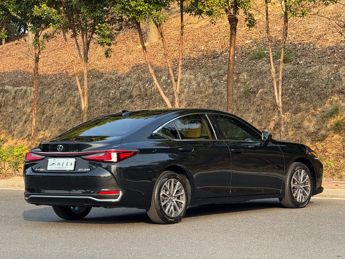 Lexus ES 2023 200 Excellence Edition фото 9