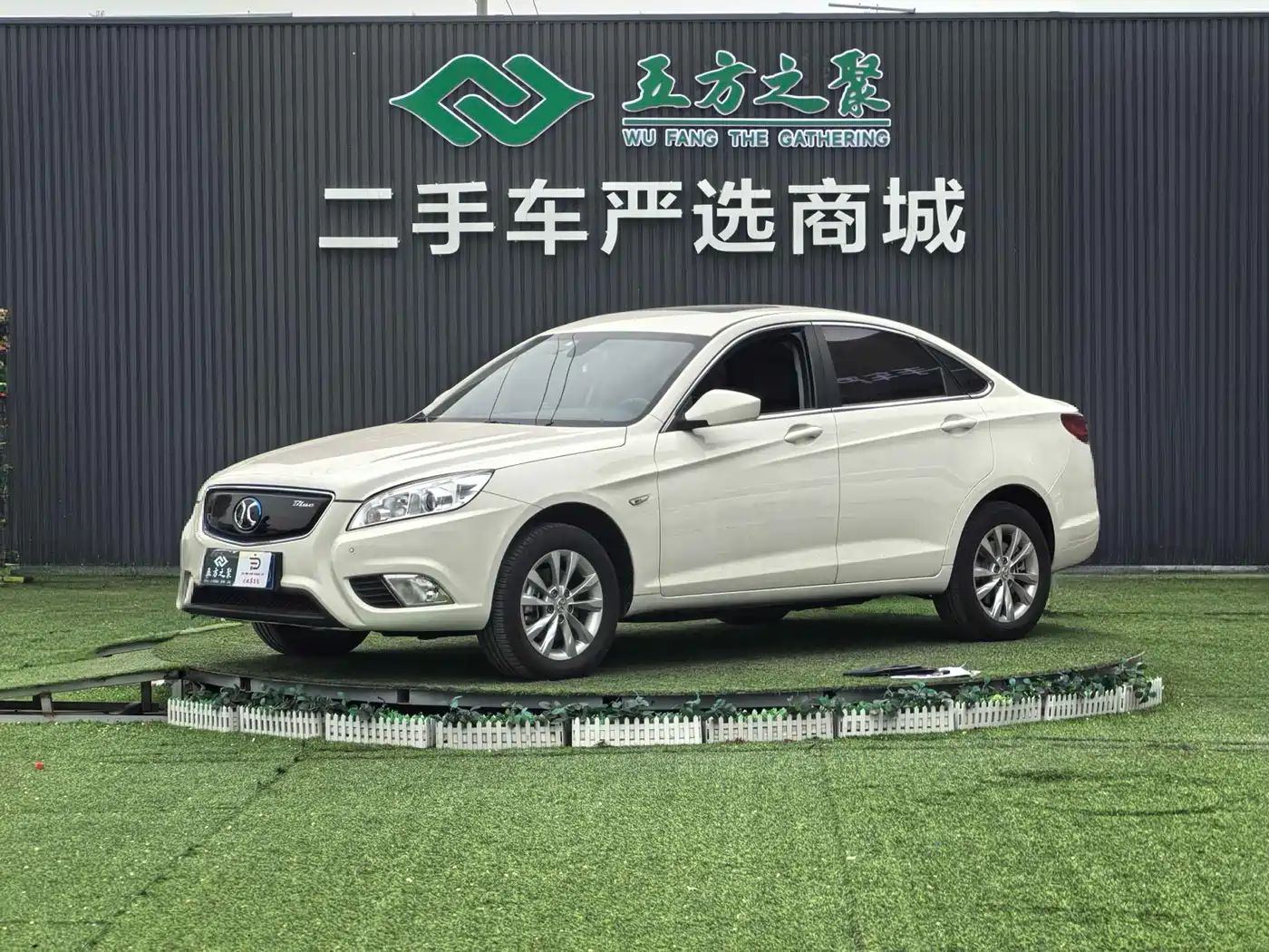 BAIC NEW ENERGY EU 2017