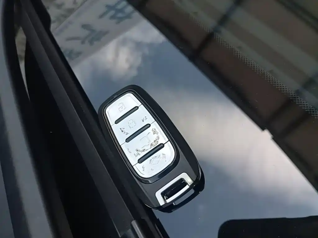 Geely Emgrand New Energy 2023 2022 EV Pro Ride-hailing Version LFP