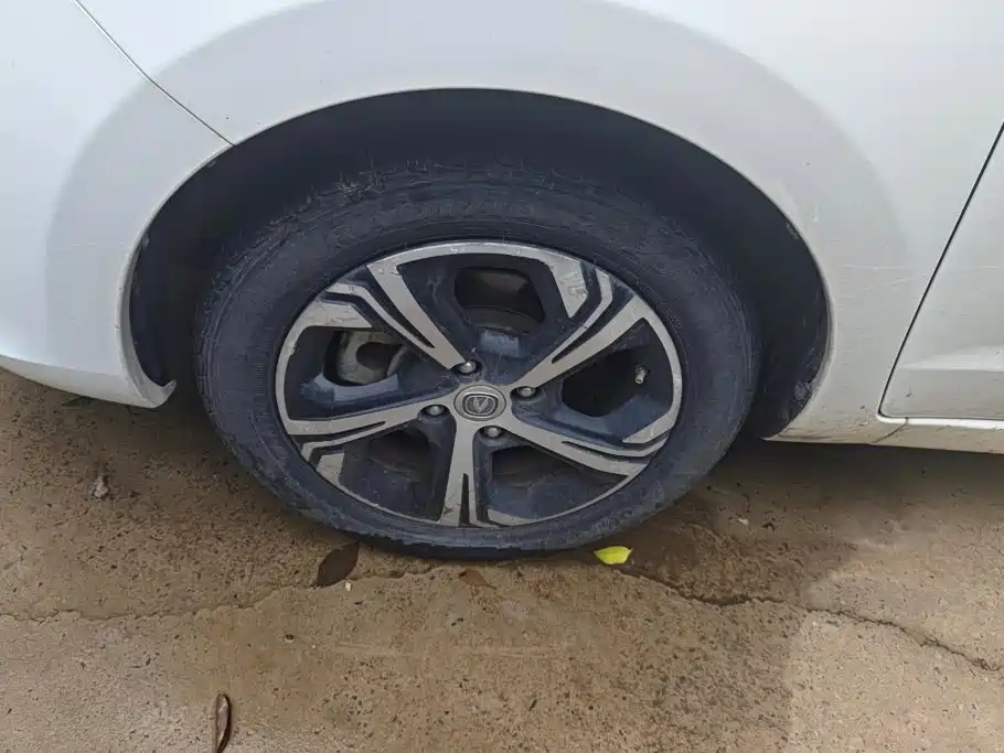 Changan Benben E-Star 2021 2022 Appreciation Edition Colorful LFP