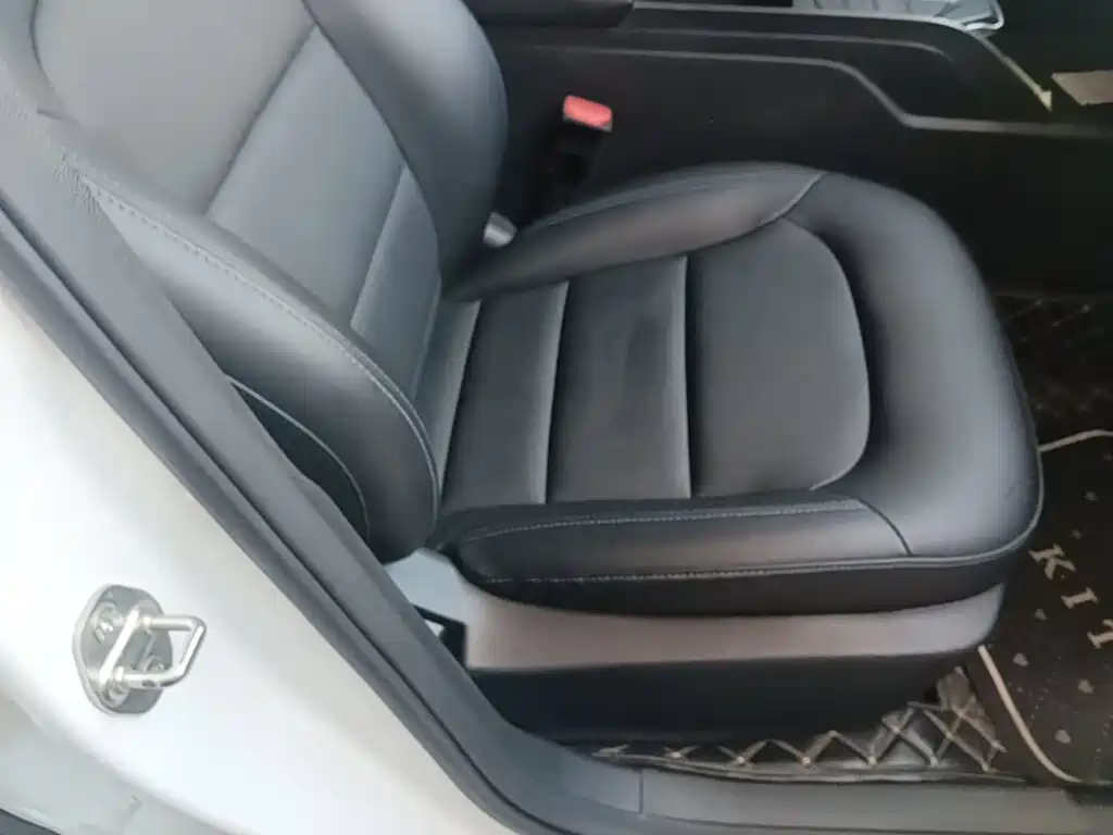 Geely Emgrand New Energy 2023 2022 EV Pro Ride-hailing Version LFP
