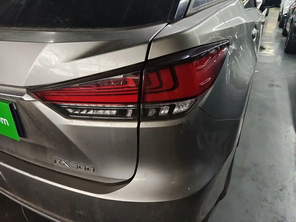 Фото 8 - Lexus RX
