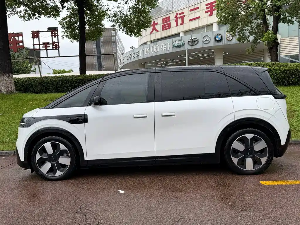 ZEEKR MIX 2025 2025 Smart Driving Edition