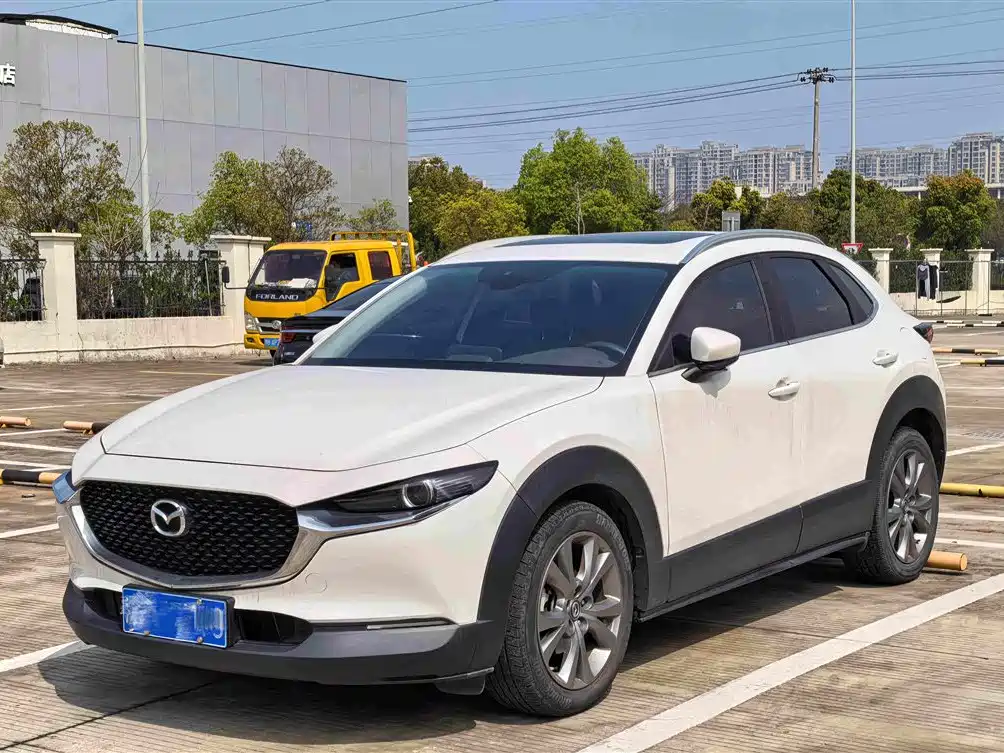  CX 30
