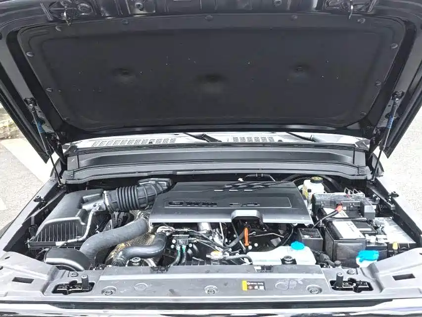 Tank 300 2025 2025 2.4T Diesel Version