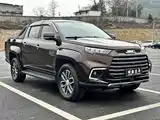 Фото 3 - Jiangling Yuhu 9