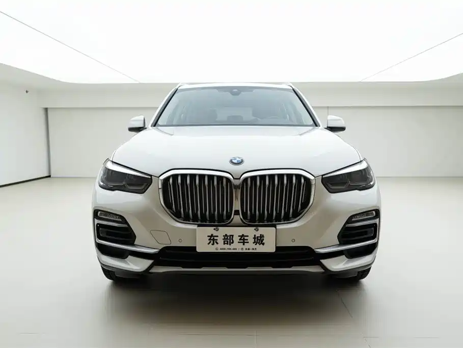 BMW X5 (Import) 2020 xDrive30i X Design Package фото 2