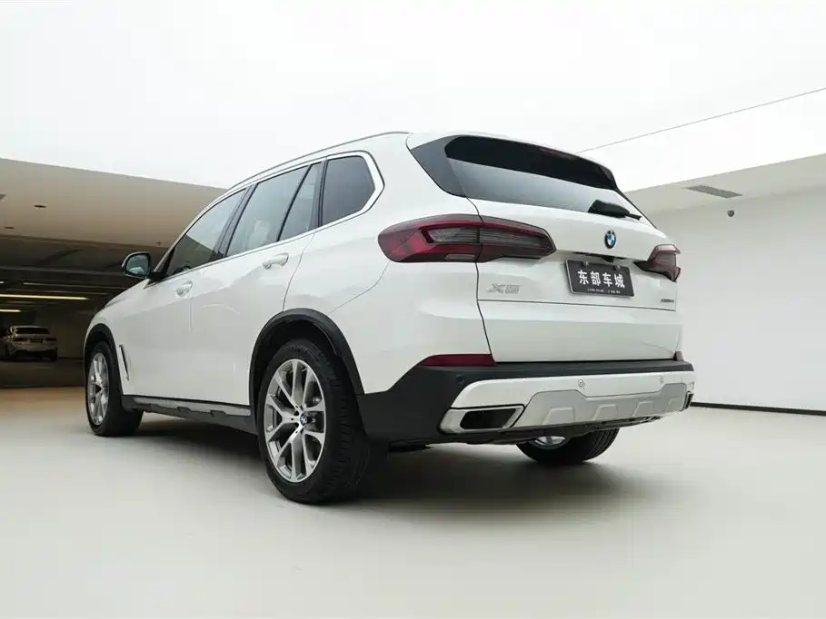 BMW X5 (Import) 2020 xDrive30i X Design Package фото 5