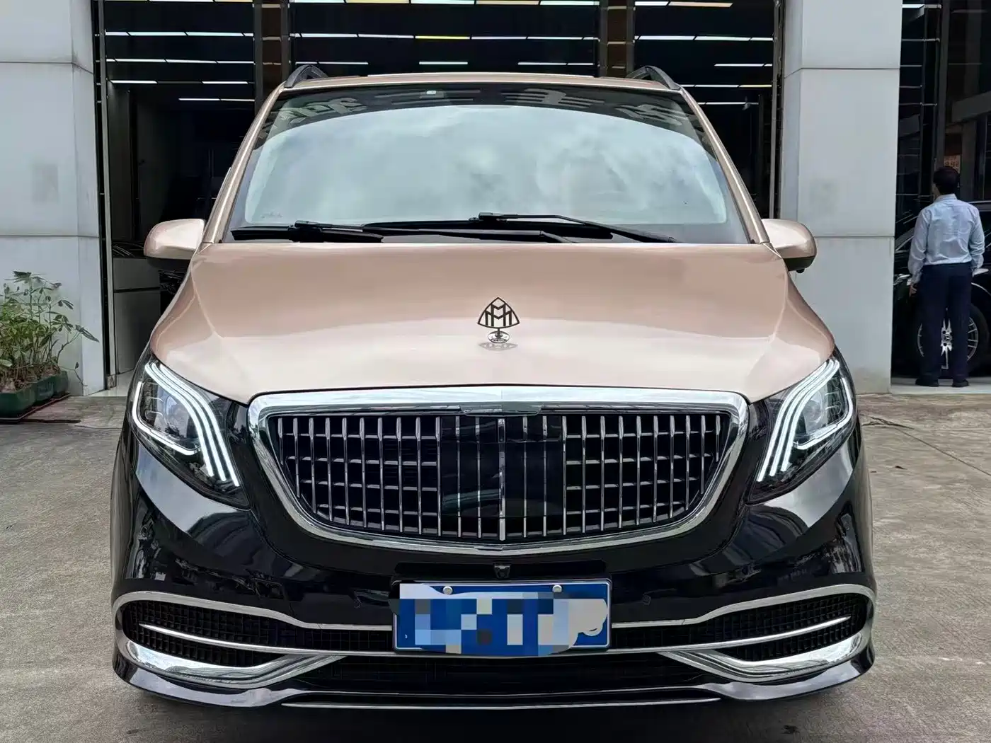 Mercedes-Benz Vito 2018 2.0T Business Edition China VI фото 2