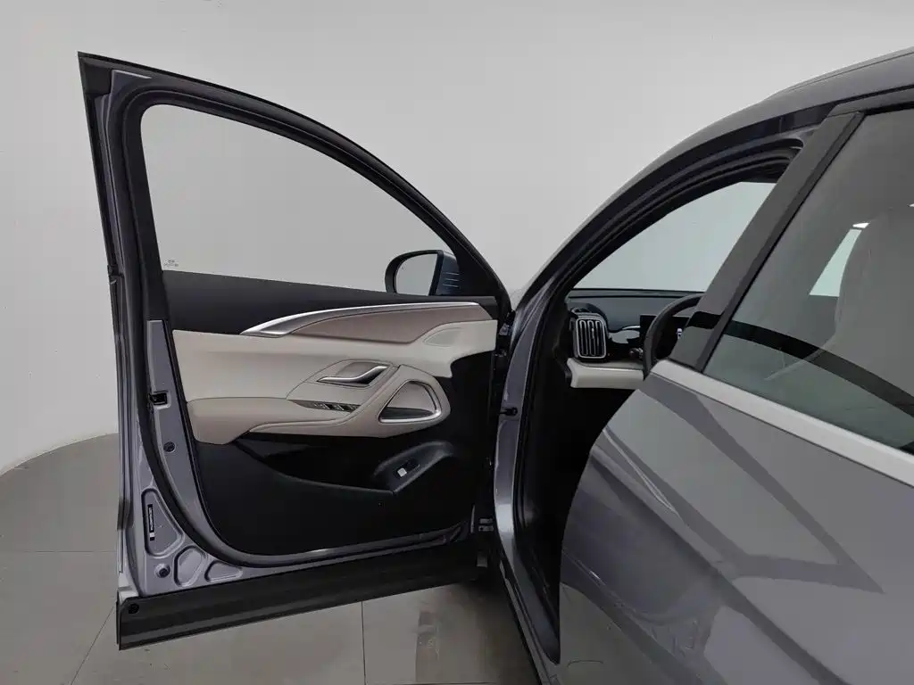 BYD Song Pro New Energy 2025 2024 Glory Edition DM-i 110KM Excellence