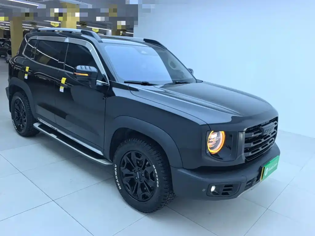 Haval Dargo 2021 2021 2.0T DCT 4WD Chinese Rural Dog Edition