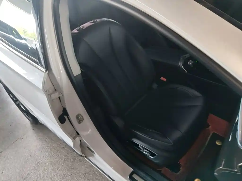 Geely Borui 2021 2021 1.8T Pilot Edition+