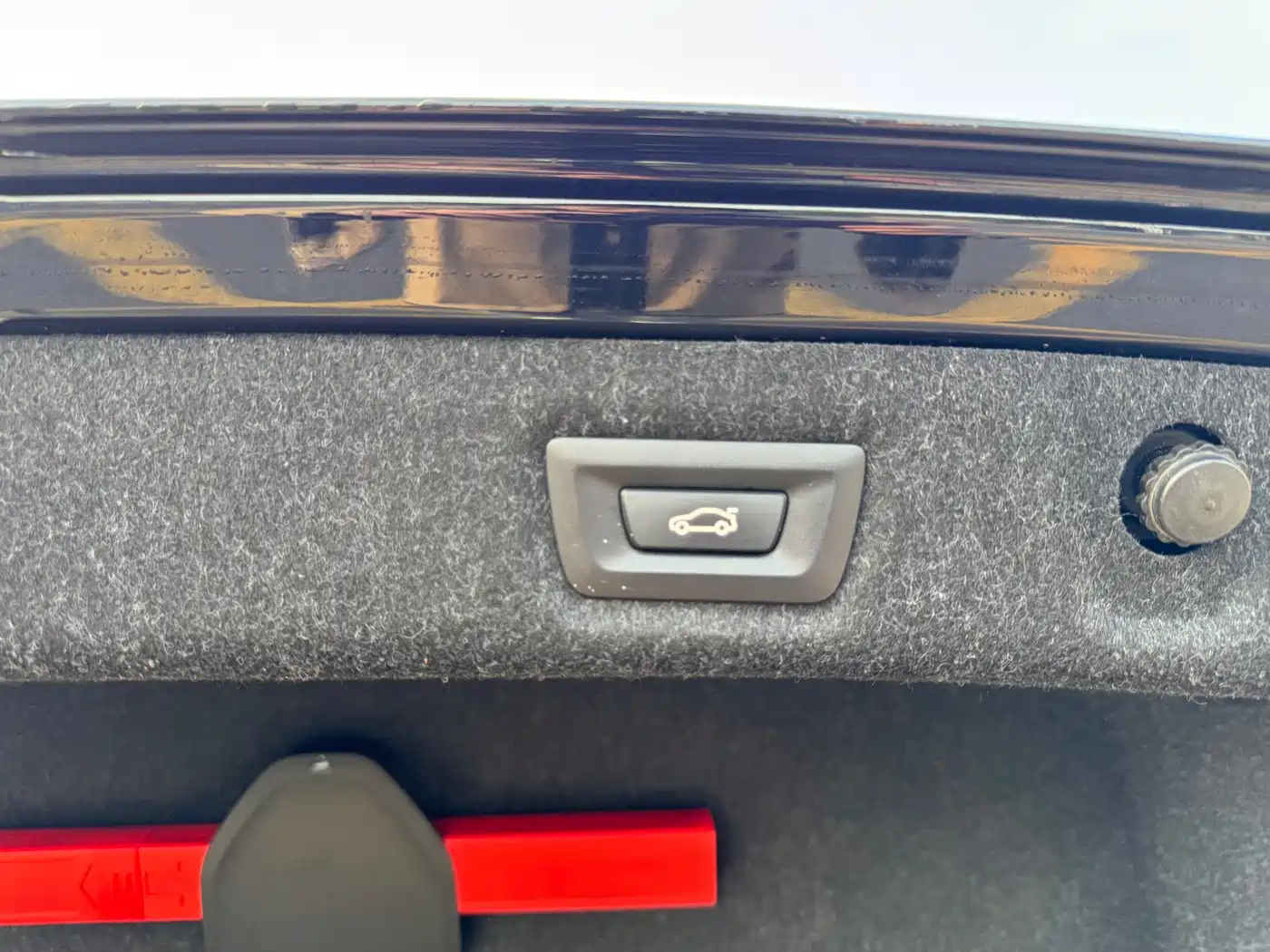 BMW 5 Series 2020 530Li Leading M Sport Package фото 29