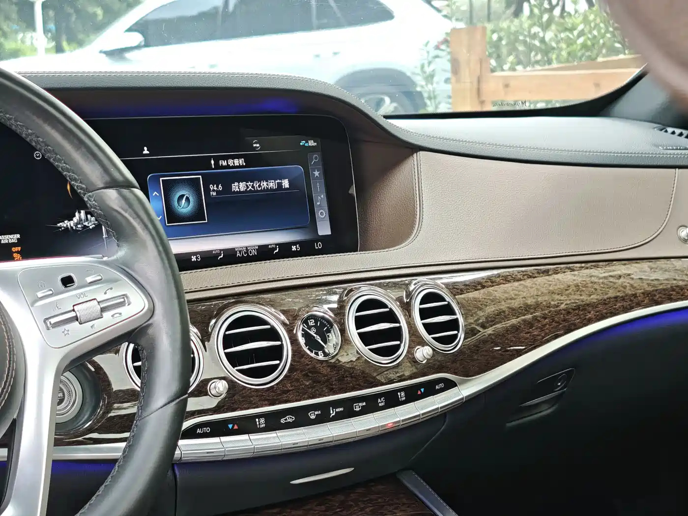 Mercedes-Benz S-Class 2020 S 350 L Business Edition Collector's Version фото 14
