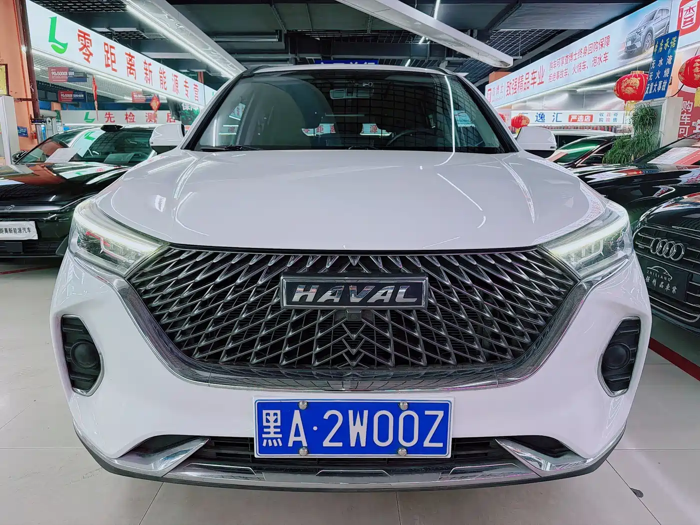 HAVAL M6