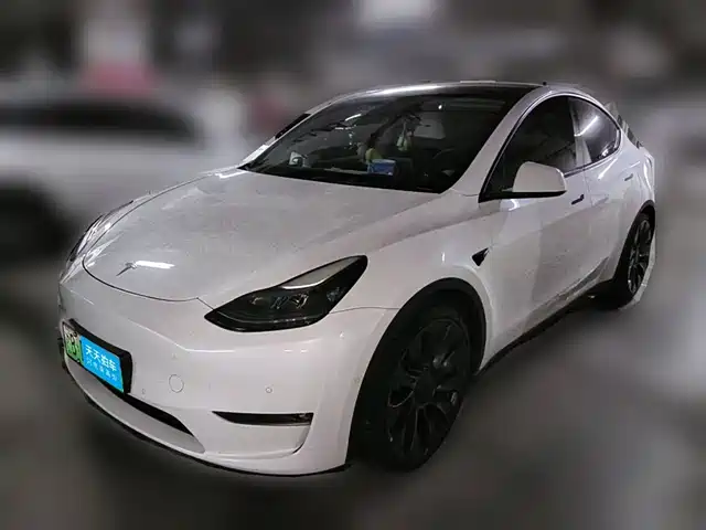 Tesla Model Y 2022 Performance High-Performance All-Wheel Drive Version — фото 1