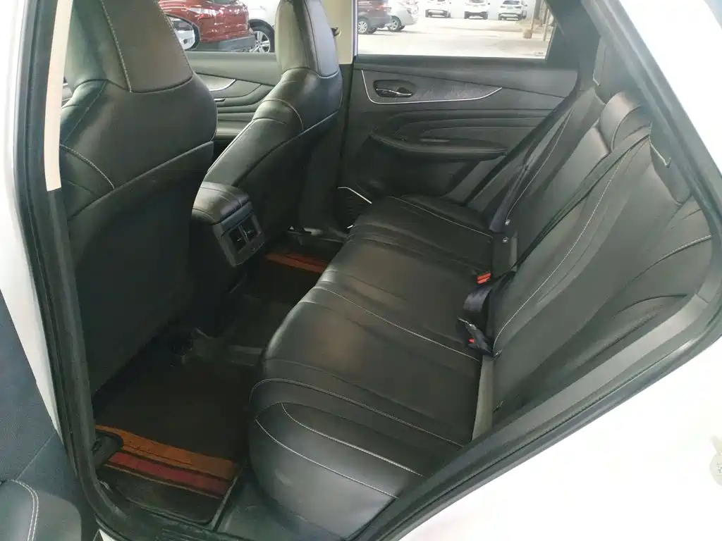 Venucia Big V 2022 2021 260T King Edition