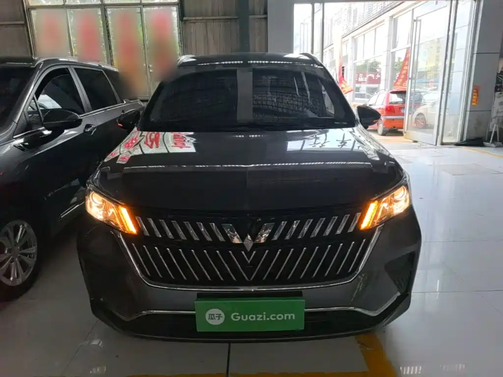 2024 Wuling Motors Wuling Jiachen