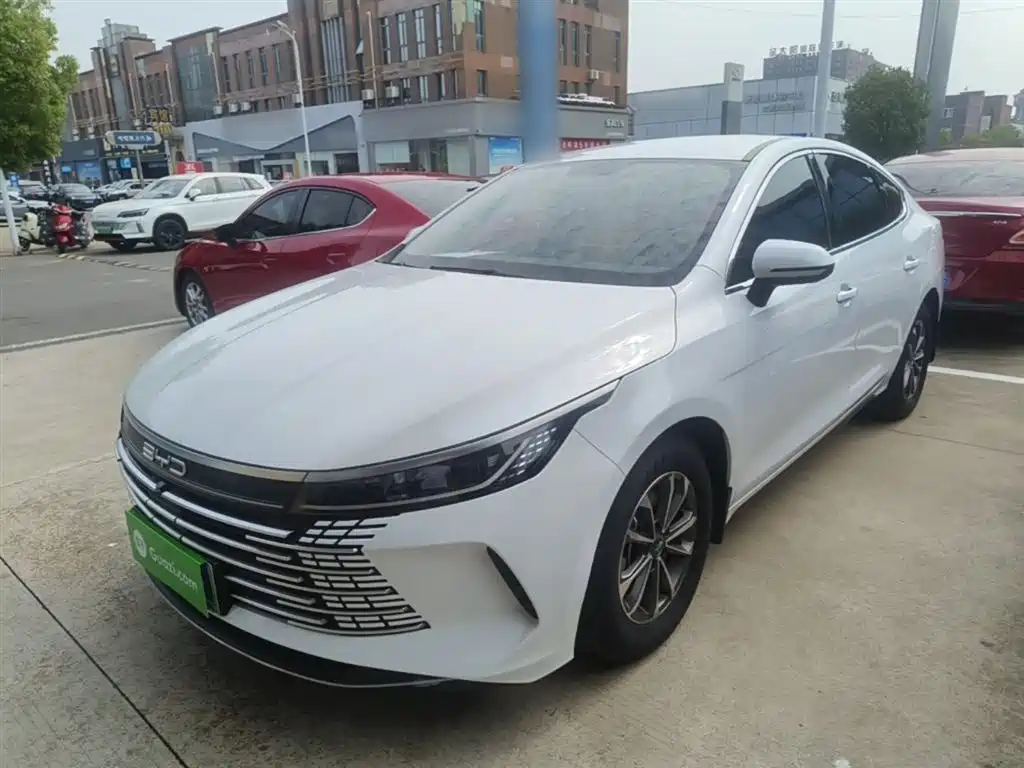 BYD Destroyer 05 2023 Champion Edition DM-i 55KM Luxury