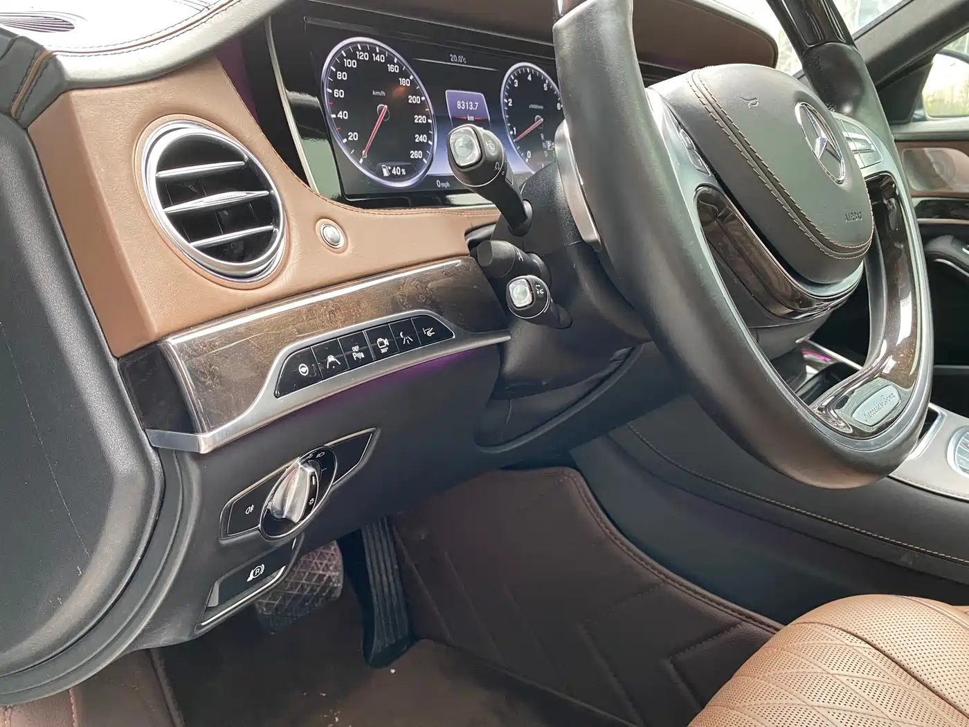 Mercedes-Benz S-Class 2014 S 600 L фото 9