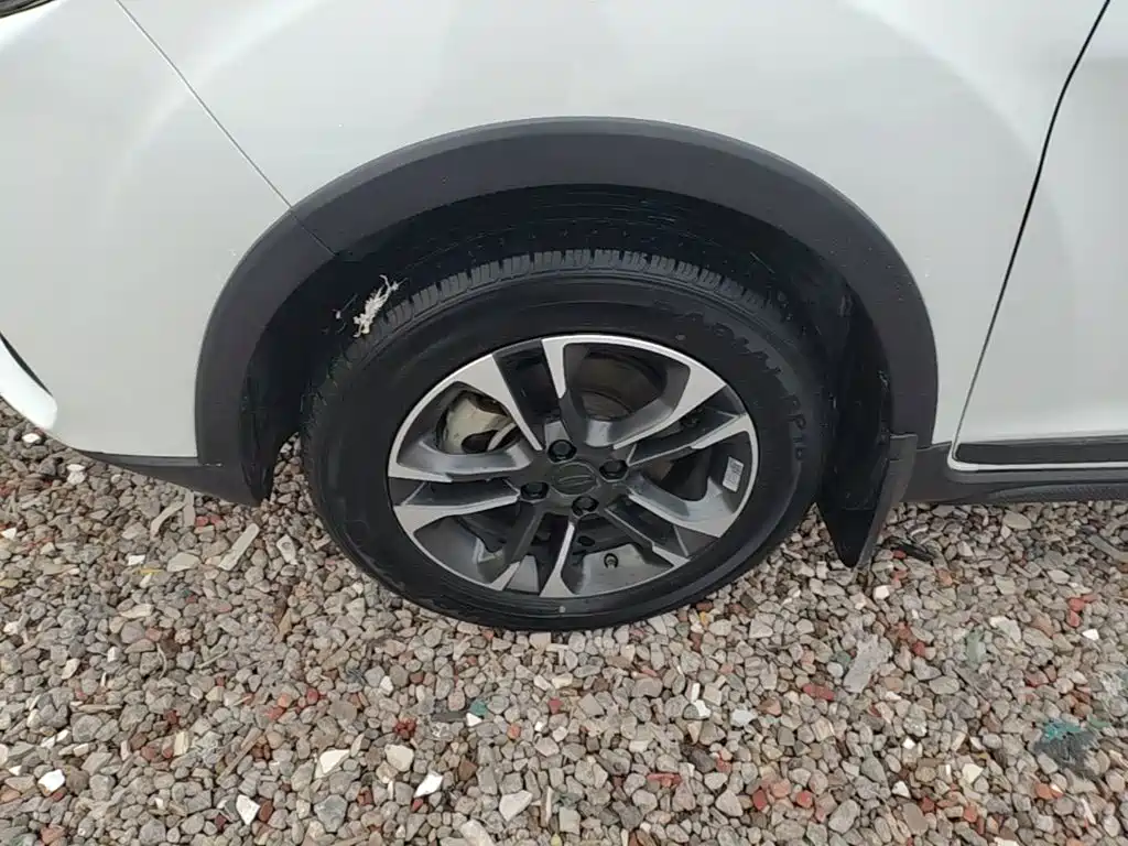 Geely Geometry EX3 Kung Fu Bull 2022 2021 Strong Bull