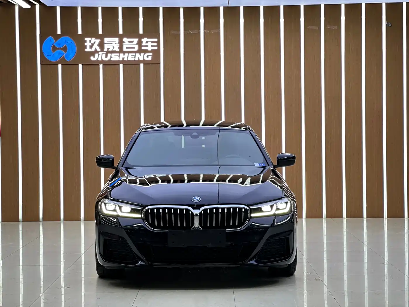 BMW 5 Series New Energy 2021 535Le M Sport Package фото 3