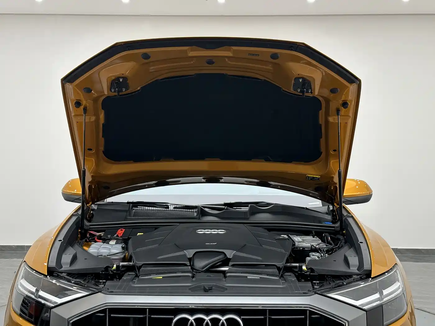 Audi Q8 2023 55 TFSI Luxury Sport фото 24