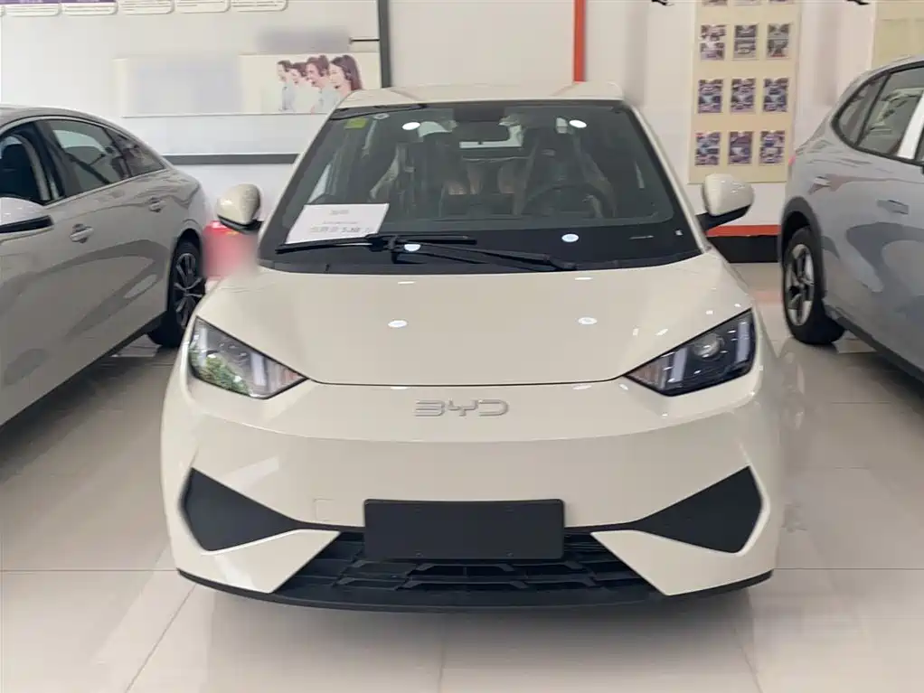 BYD Seagull 2026 2025 Smart Drive Edition 305km Vitality Version