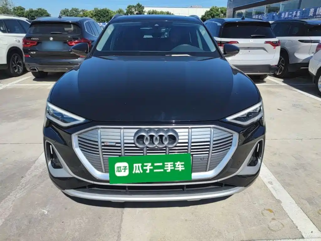 Audi e-tron 2022 2021 50 quattro Luxury