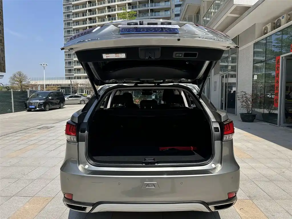 Lexus RX 2020 300 4WD Elegance Edition China VI фото 22