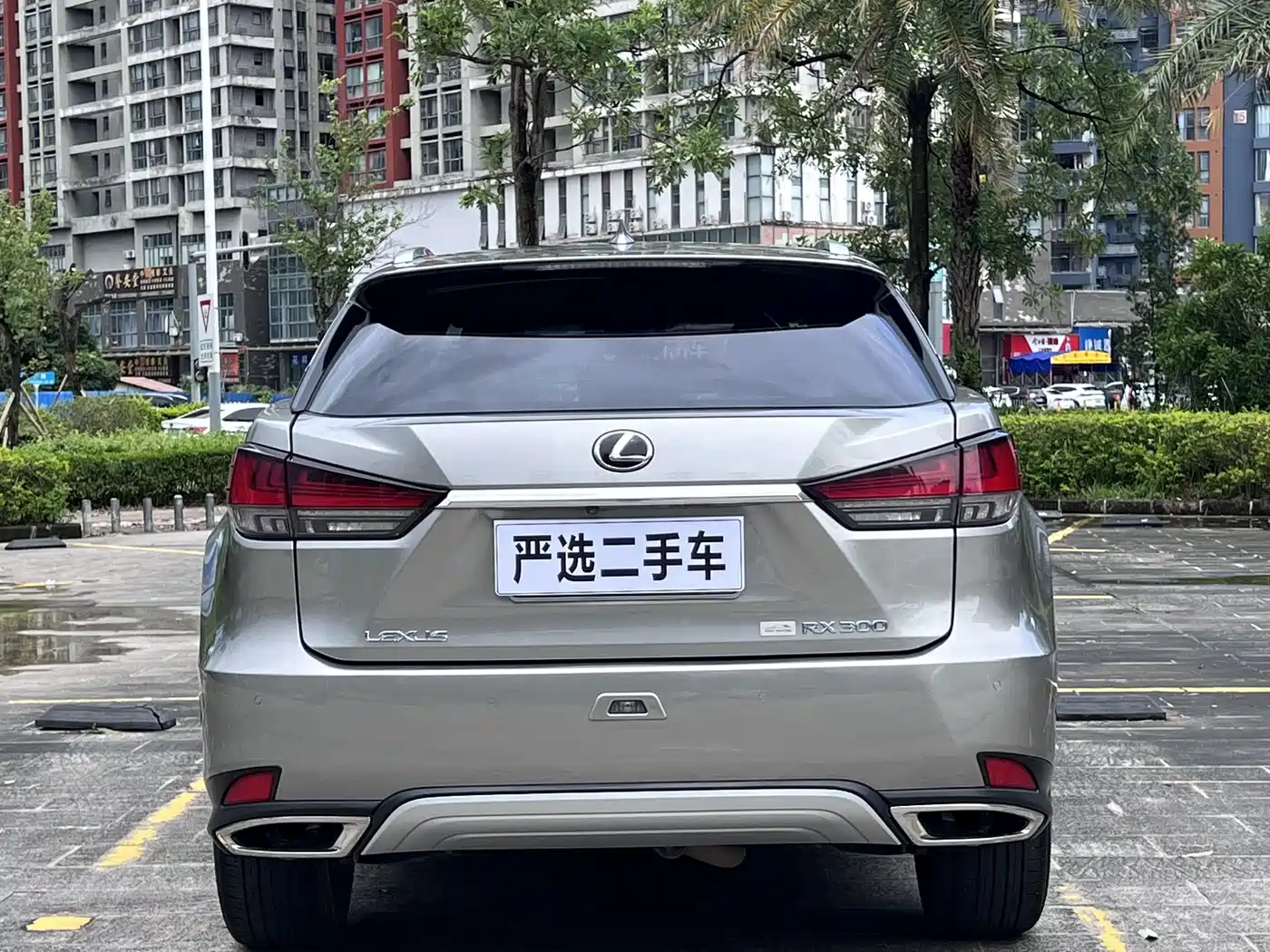 Photo 7 - Lexus RX