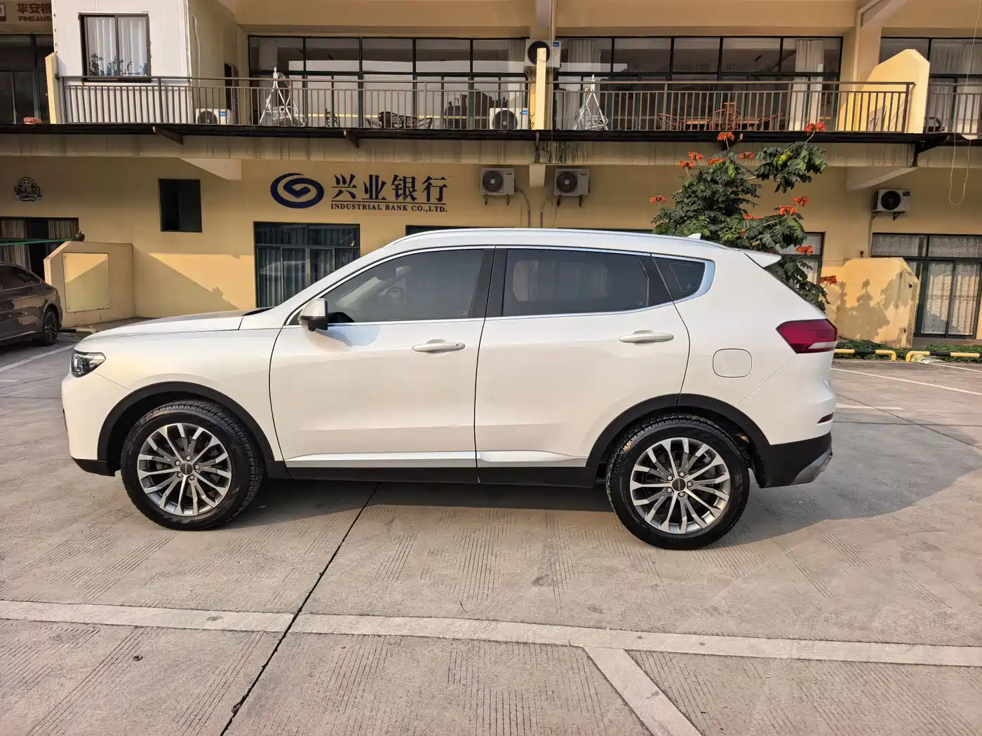 Haval H6 2020 1.5GDIT Automatic Platinum Champion Edition фото 4