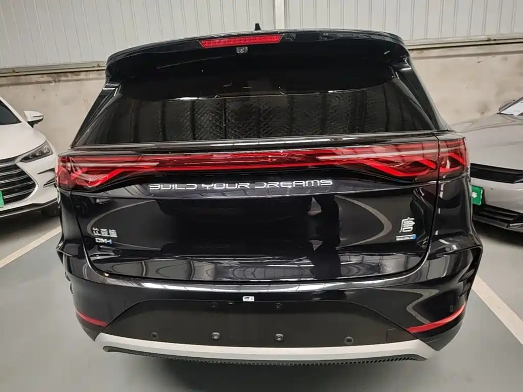 BYD Tang New Energy 2025 2025 Smart Driving Edition DM-i 115KM Honor