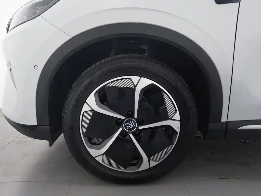 BYD Yuan PLUS 2025 2025 Smart Drive 510KM Surpass Edition