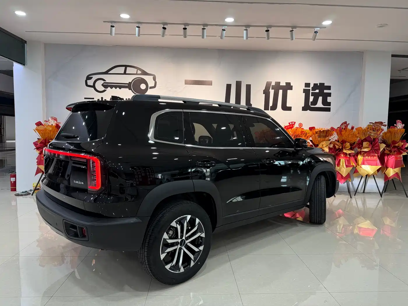 Haval Big Dog 2025 2024 1.5T DCT Border Collie Edition