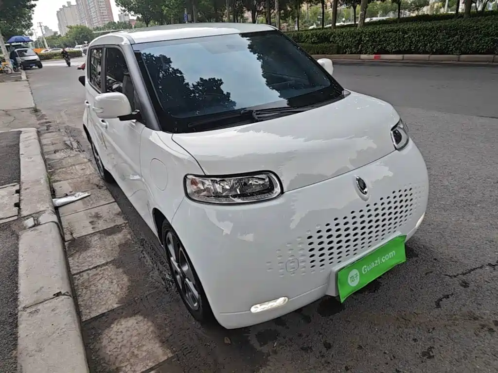 Ora White Cat 2021 2020 305km Luxury