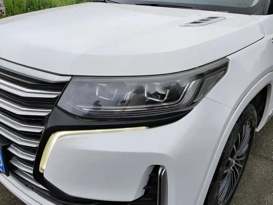Changan CS95 2019 2019 2.0T 4WD Premium