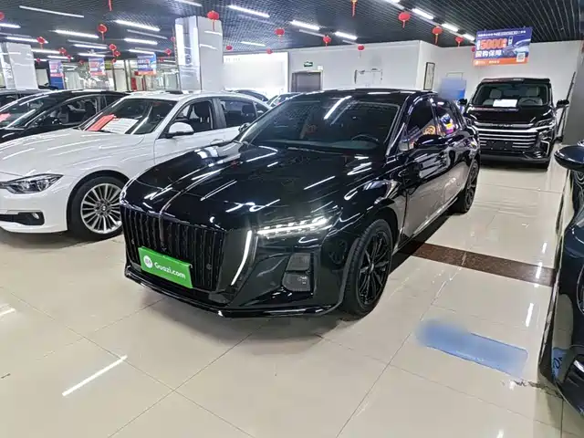  Hongqi Hongqi H5 2025 2.0T Automatic Mystic Shadow