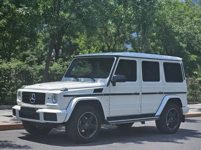  Mercedes-Benz Mercedes-Benz G-Class 2018 G 500 designo Masterpiece Collector's Edition